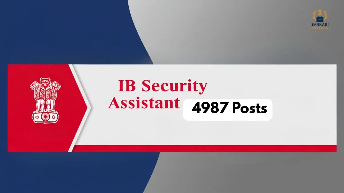 IB Security Assistant