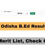 SAMS Odisha B.Ed Result 2025 Out, First Merit List, Direct Download Link, Cut-Off